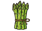 Asperge Asperge
